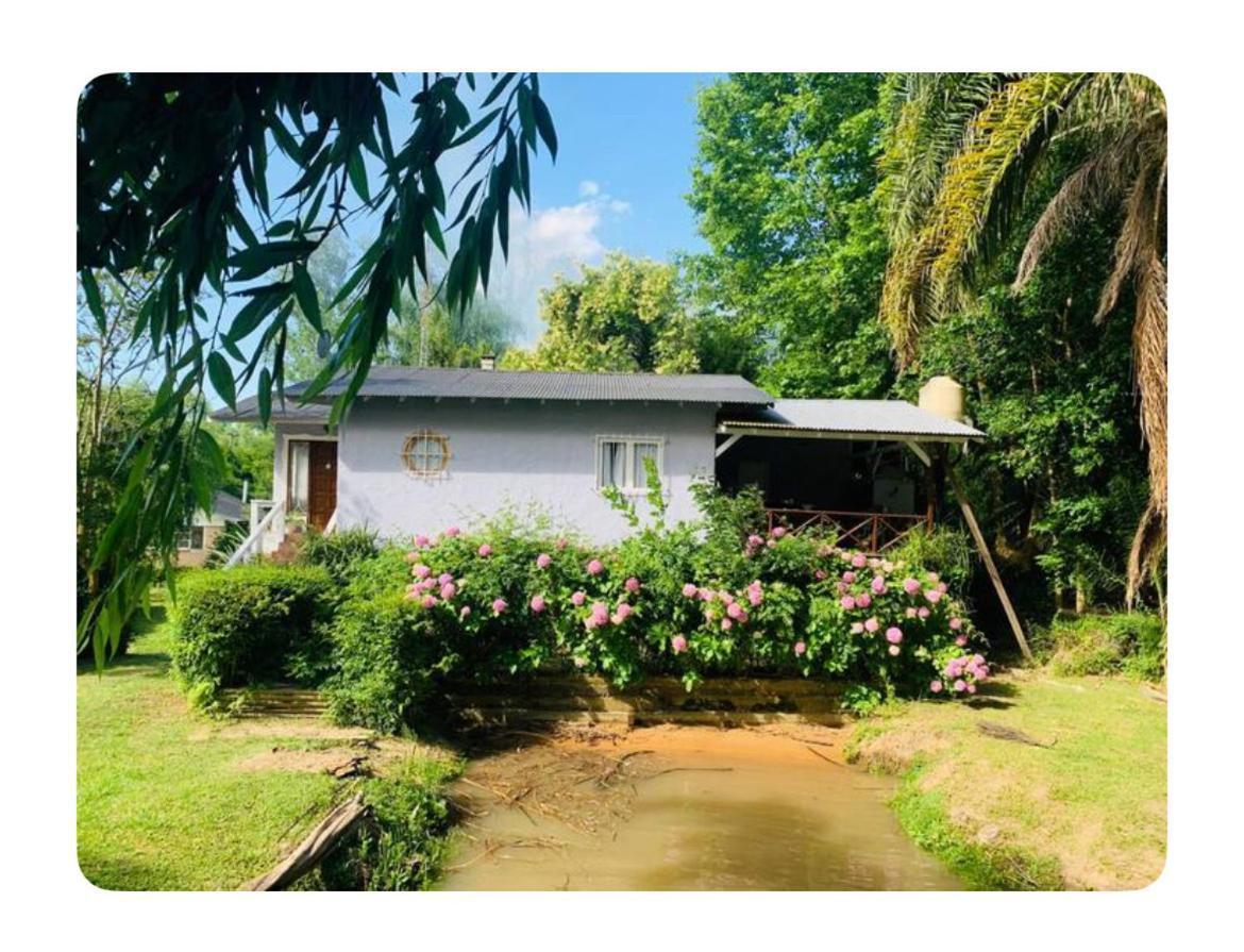 Casa Nolita Villa Tigre Kültér fotó